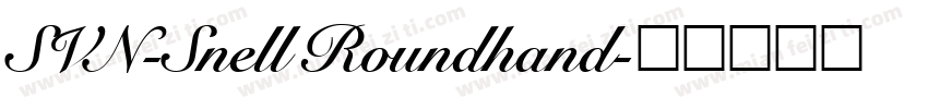 SVN-Snell Roundhand字体转换
